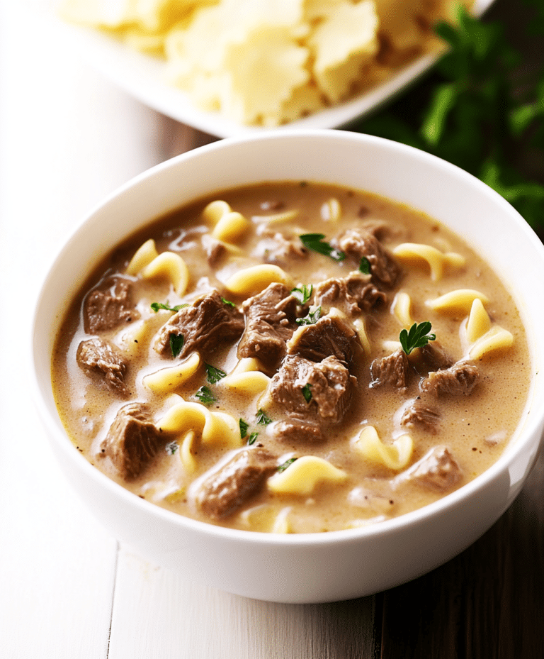 Beef Stroganoff Soup Recipe